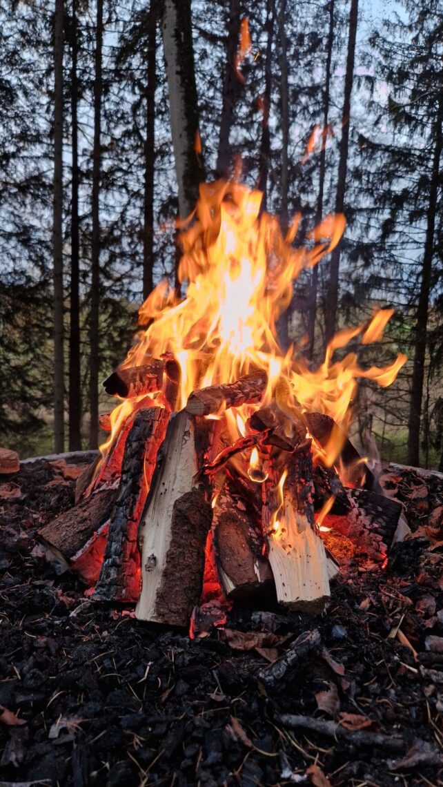 A vibrant campfire burning with intense flames surrounded by a serene forest backdrop.